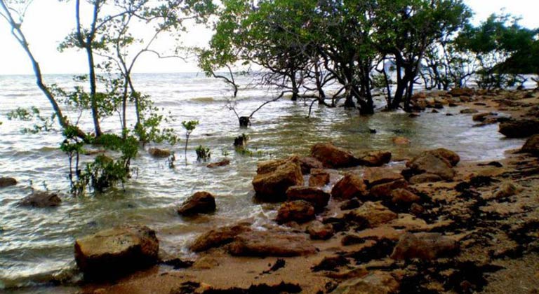 Praia Búzios Rio de Janeiro